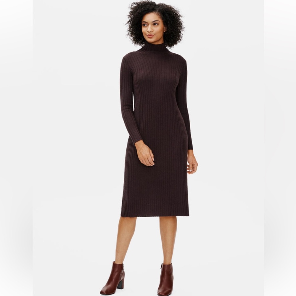 Eileen Fisher Scrunch Neck Merino Wool Turtleneck Ribbed Dress Small Beige